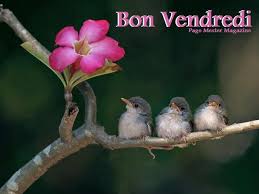 Bon Vendredi*