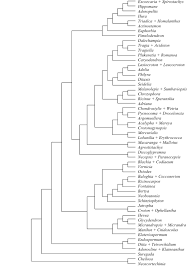 Image result for Argomuellera