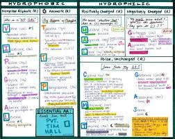 The Life Of A Med Student Amino Acid Cheat Sheet And Review