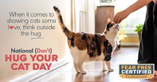 Search, discover and share your favorite hug your cat day gifs. National Hug Your Cat Day Fear Free Pets