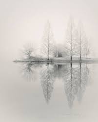 Lake House Art Lake House Decor Lake Photography Lake Etsy Foggy Landscape Fine Art Landscape Photography Fog Photography