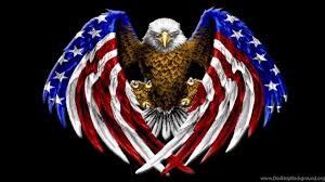 If you're in search of the best american bald eagle wallpaper, you've come to the right place. Birds American Bald Eagle Freedom Wings Flag Talons Desktop Desktop Background