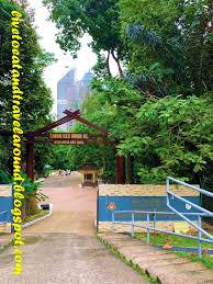 Hutan simpan bukit relau is a forest reserve in penang and has an elevation of 259 metres. A Collection Of Memories Where To Hike In Kl Taman Eko Rimba Bukit Nanas Kuala Lumpur
