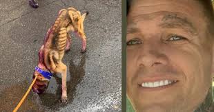 Joseph Larue, Known for Repeatedly Fleeing Law Enforcement, Released After  Bail Was Set This Week