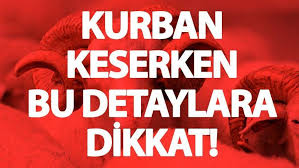 Kurban Nasil Kesilir Kurban Eti Nasil Pay Edilir Bunlara Dikkat Son Dakika Haberleri