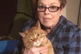 Fundraiser by Carol Green : Cat Saved, Home in Jeopardy
