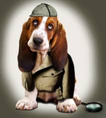 Rastreator.com compra Seguros.es - Ecomotor.es