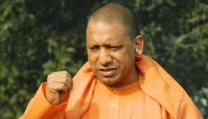 Image result for yogi