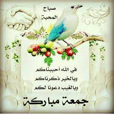 جميل عصفور ازرق if