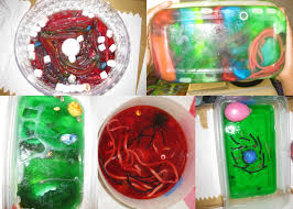 Animal cells need to include (13 items): 3d Plant Cell Jello Project Shefalitayal