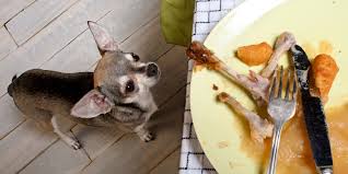 Maybe you would like to learn more about one of these? Thanksgiving Feast What Can I Share With My Pets What Shouldn T I Share