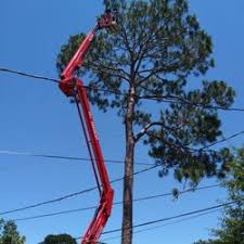 We did not find results for: Coastal Tree Service 122 Photos Tree Services 2634 Marietta St Kenner La United States Phone Number