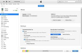 7 Ways To Restore Itunes Icloud Backup To Iphone Xs Iphone Xs Max Iphone Xr