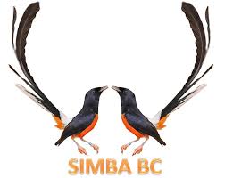 Burung ini terkenal memiliki kicauan emas masyarakat kita lebih sering mengelompokkan murai batu berdasarkan asal wilayahnya. Latpres Spesial Simbabc 29 Nov 2015 Mbahkicau