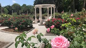 We would like to show you a description here but the site won't allow us. Blooming Beauties Top Garden Spots In Sarasota Visit Sarasota