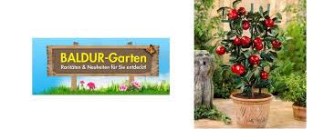 But someone wants him dead. Gratis Apfel Kubel Bei Baldur Garten Abstauben
