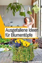 Blumentopf Basteln Blumentopf Schone Blumen Topfblumen