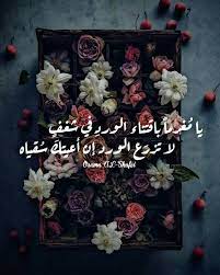 pin by mushtaaq taleb on عاشقة الورد arabic quotes sweet quotes fabulous quotes