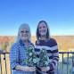 Living Succulent Christmas Tree event in Williamsburg, VA