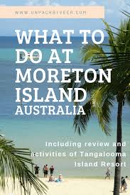 Travel Guide For Brisbane And The Relaxing Moreton Island Including A Review Of My Stay At The Tangalooma Island Re In 2020 Things To Do In Brisbane Australia Brisbane