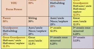 Debs Delvings In Genealogy Percentage Shared Atdna Chart
