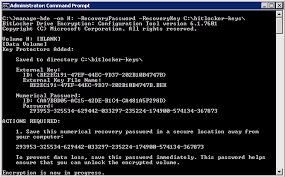 However, there are valid reasons for doing this so long as care is taken in a trusted environment. Testing Bitlocker With Backupassist As An Alternative To Truecrypt Encryption Zen Software