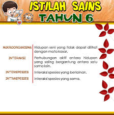 Bumi, bulan, dan matahari 11.1 pergerakan bumi (a) putaran dan peredaran bumi bumi berputar pada. Facebook