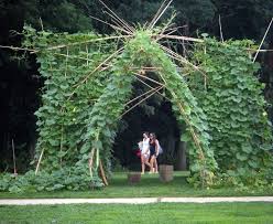 Considerations About The Significance Of An Anti Desertification Photo Willem Van Cotthem Permaculture Gardening Garden Inspiration Garden