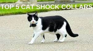 Maybe you would like to learn more about one of these? 3 Best Cat Shock Collars Reviewed In July 2021