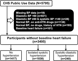 Systolic Diastolic Hypertension Versus Isolated Systolic Hypertension And Incident Heart Failure In Older Adults Insights From The Cardiovascular Health Study International Journal Of Cardiology