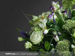 Of avalon, on sunday, july 18, 2021. Iran Flowers Culture Explore Iran Tap Persia