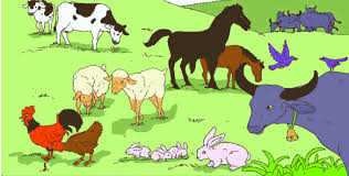 Check spelling or type a new query. Pengertian Perkembangbiakan Secara Generative Ovivipar Vivipar Dan Ovovivipar Elinotes Review