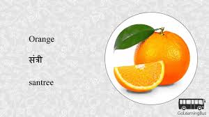 Learn Marathi Visual Dictionary Fruits And Vegetables Via Videos By Golearningbus 3h Youtube