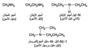الموسوعة العربية موسوعة التقانة الأمينات