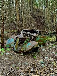 Image result for Cottonwood Gray 1930 Oldsmobile