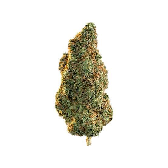 Macro view of resinous GG4 trichome coverage, AI generated