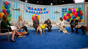 John mulaney visited the ellen show and talked about his new wife and the cute dog that's like a daughter to them. Labrador Retriever Tops List Of Most Popular Dogs In America