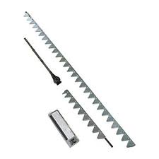 Image result for Millettia sp. B (Fanshawe 8569)