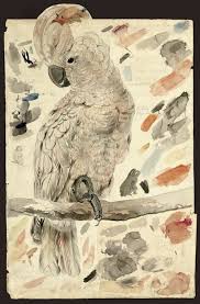 Illustrations Of The Family Of The Psittacidae Or Parrots Owl Pussycat Parrots Art Watercolor Parrot Animal Illustration