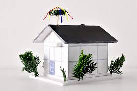 Der bauherr soll ein lächeln auf die lippen gezaubert bek… Geschenk Zum Richtfest Miss Red Fox