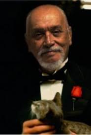 Fred Muniz é contemplado com bolsa de estudos e pesquisa em políticas  públicas na Universidade do Minho, Portugal