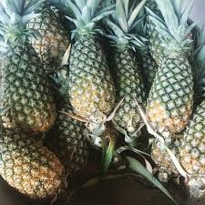 Nenas merupakan tanaman buah yang selalu tersedia sepanjang tahun. Sulur Nenas Yankee Terpilih Buah Besar Gred A Minimum 30pcs Oder Shopee Malaysia