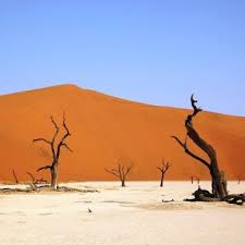 Nonostante l'africa sia nota per la sua siccità, questo è uno dei rari corsi d'acqua perenni nella regione. Il Periodo Migliore Per Scoprire La Namibia