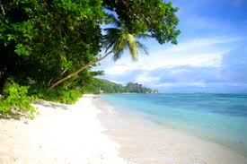 Vous hésitez entre un cocktail seychellois ou le désert d'abu dhabi et les plages des seychelles. Quel Est Le Prix D Un Voyage Aux Seychelles Le Tour Du Web