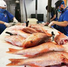 Maybe you would like to learn more about one of these? Galveston Com Katie S Seafood Market Galveston Tx