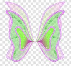 A series that i have a great deal of passion for. Flora Aisha Musa Stella Bloom Winx Club Season 5 Fairy Wings Cosplay Transparent Png