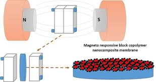 Browse and share the top rana suzana gifs from 2021 on gfycat. Membranes Free Full Text Block Copolymer Based Magnetic Mixed Matrix Membranes Effect Of Magnetic Field On Protein Permeation And Membrane Fouling Html