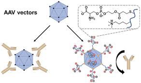 Image result for Blue 1999 AAV