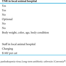My foster cat has had two convenia injections now, and both caused some mild stool issues. Pdf Application Of A High Quality High Volume Trap Neuter Return Model Of Community Cats In Seoul Korea