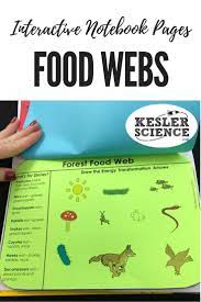 Examine Saltwater Freshwater And Forest Food Webs Identify Energy Transformations And Human Impa Food Web Science Notebooks Middle School Science Activities